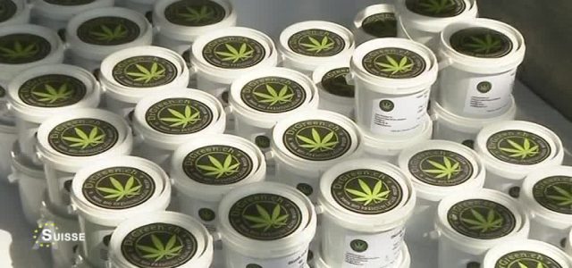 Où trouver du cannabidiol à Saint-Étienne ?