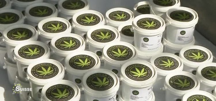 Où trouver du cannabidiol à Saint-Étienne ?