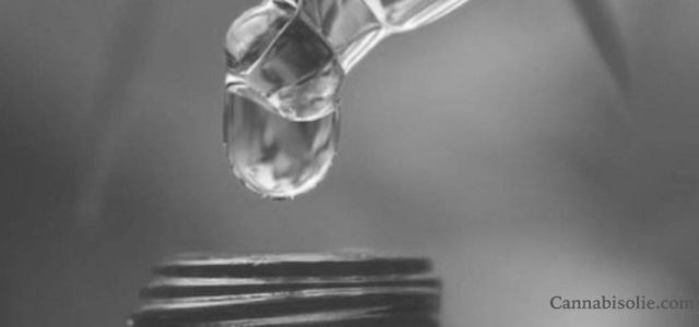 Quel est le prix du CBD ?
