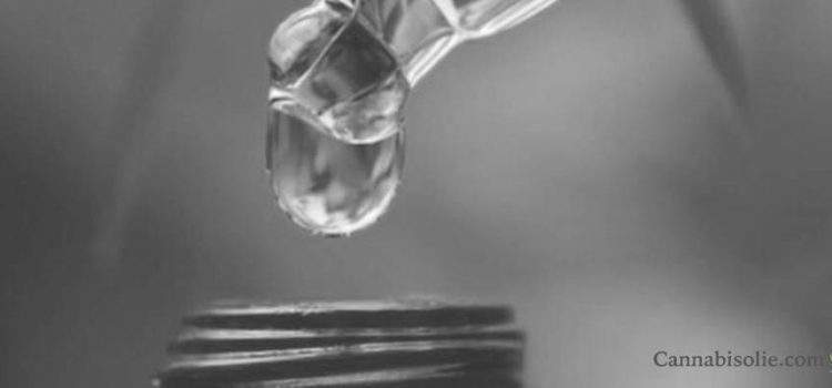 Quel est le prix du CBD ?