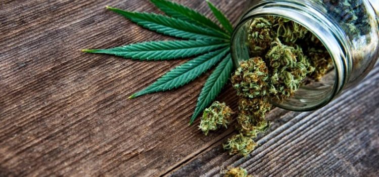 Où acheter du cannabidiol ?