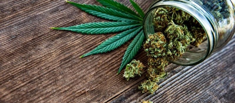 Où acheter du cannabidiol ?