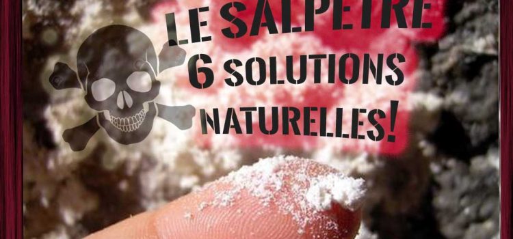 Comment traiter le salpêtre dans une cave ?