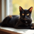 Chat Bengal noir sur une fenêtre ensoleillée