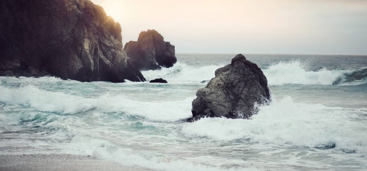 Les spécificités de la recherche de terrain en Bretagne sud