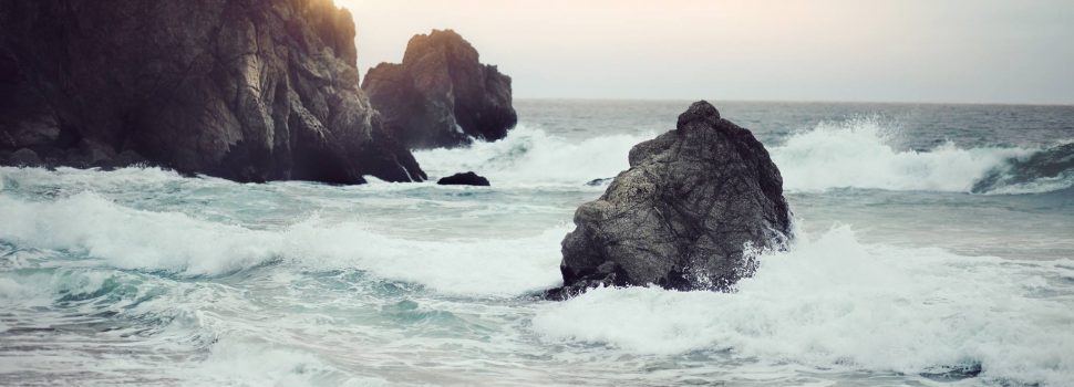 Les spécificités de la recherche de terrain en Bretagne sud