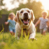 Labrador joyeux jouant avec des enfants dans le jardin