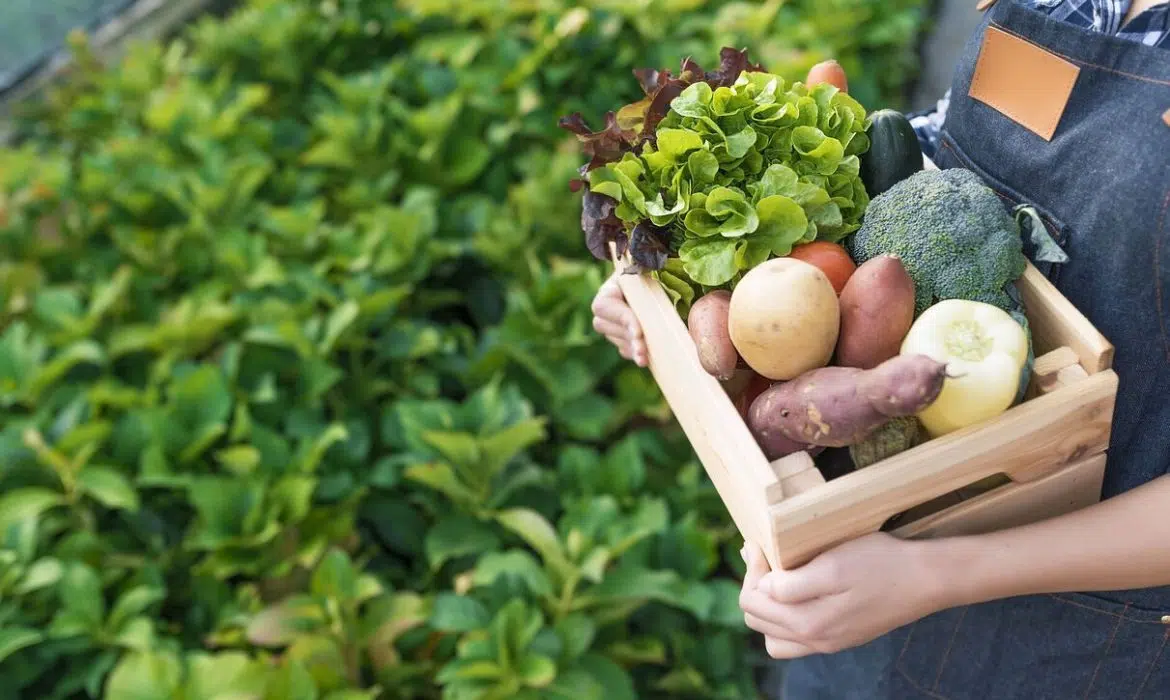 Pourquoi consommer des légumes bio ?