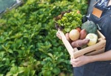 Pourquoi consommer des légumes bio ?