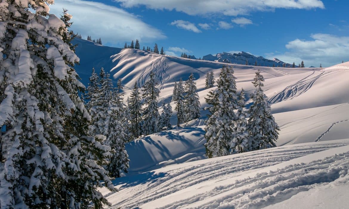 Ski dans le Jura : explorez les plus beaux sommets de la région 